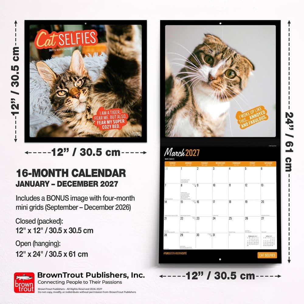 Cat Selfies 2027 Wall Calendar Sixth Alternate Image