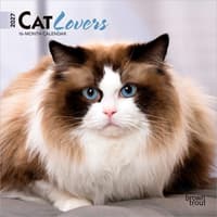 image Cat Lovers 2027 Mini Wall Calendar Main Product Image