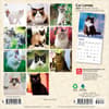 image Cat Lovers 2027 Mini Wall Calendar First Alternate Image