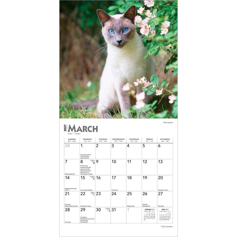 Cat Lovers 2027 Mini Wall Calendar Second Alternate Image