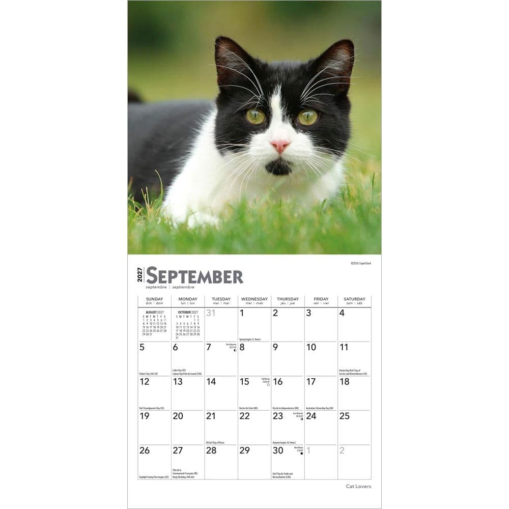 Cat Lovers 2027 Mini Wall Calendar Third Alternate Image