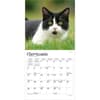 image Cat Lovers 2027 Mini Wall Calendar Third Alternate Image