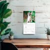 image Cat Lovers 2027 Mini Wall Calendar Fourth Alternate Image