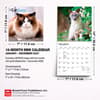 image Cat Lovers 2027 Mini Wall Calendar Sixth Alternate Image