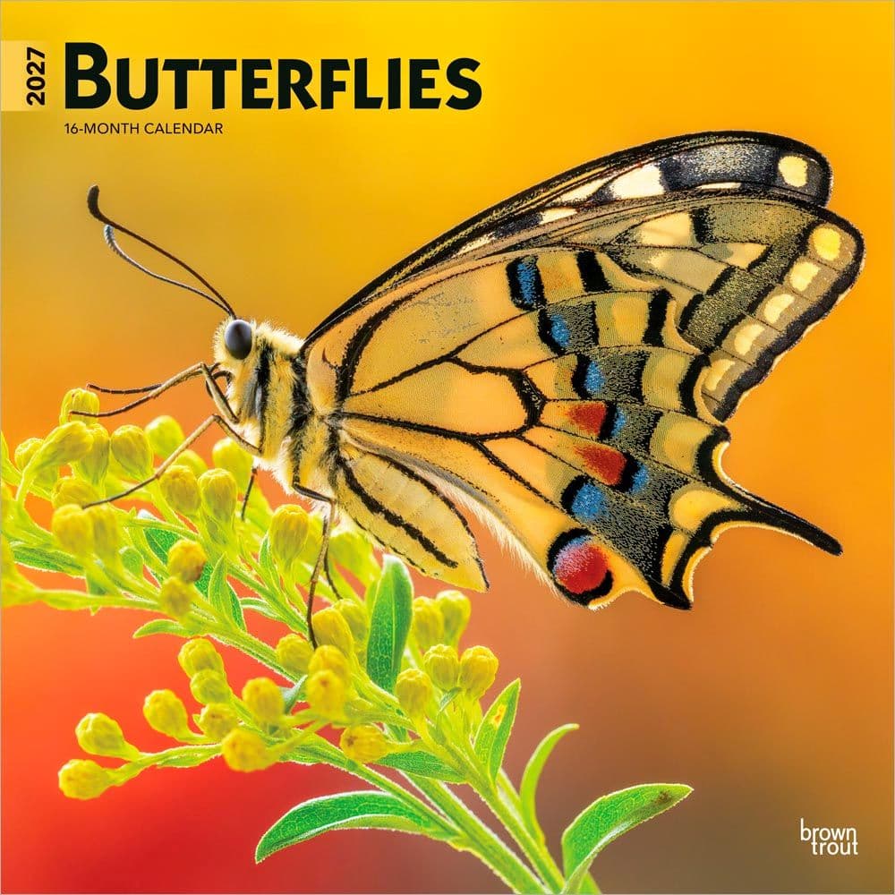 Butterflies 2027 Wall Calendar Main Product Image