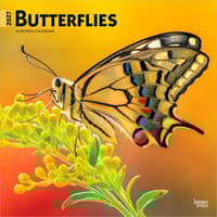 image Butterflies 2027 Wall Calendar Main Product Image