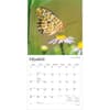image Butterflies 2027 Wall Calendar Second Alternate Image