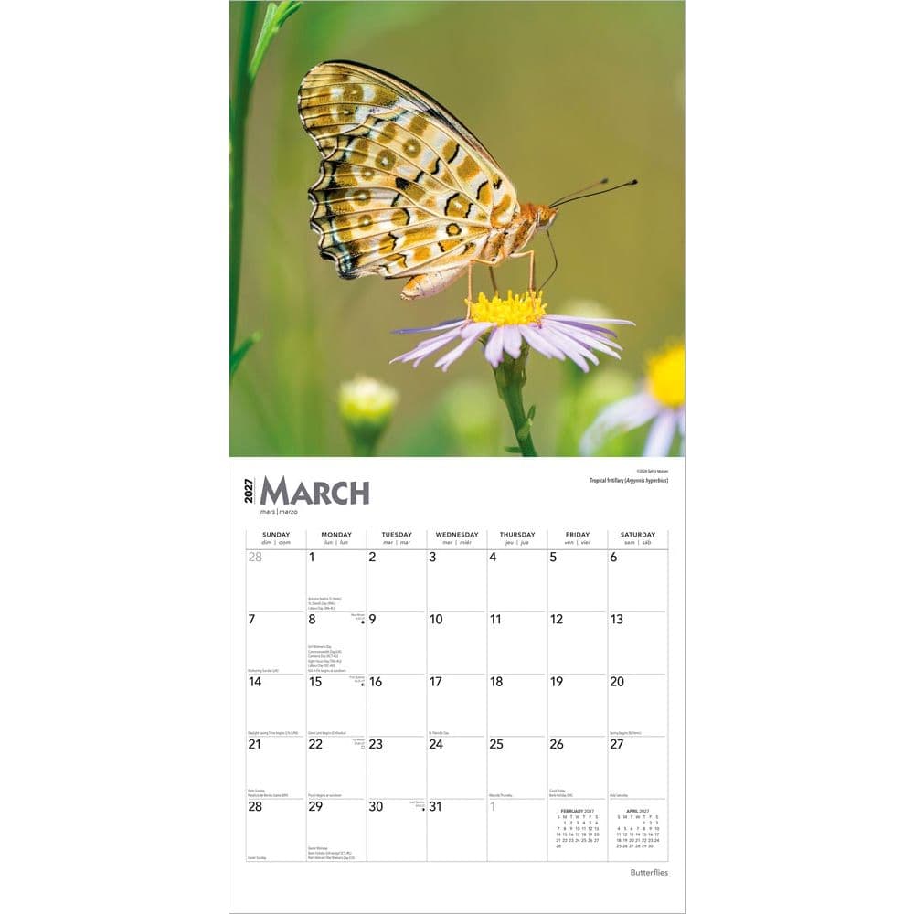 Butterflies 2027 Wall Calendar Second Alternate Image