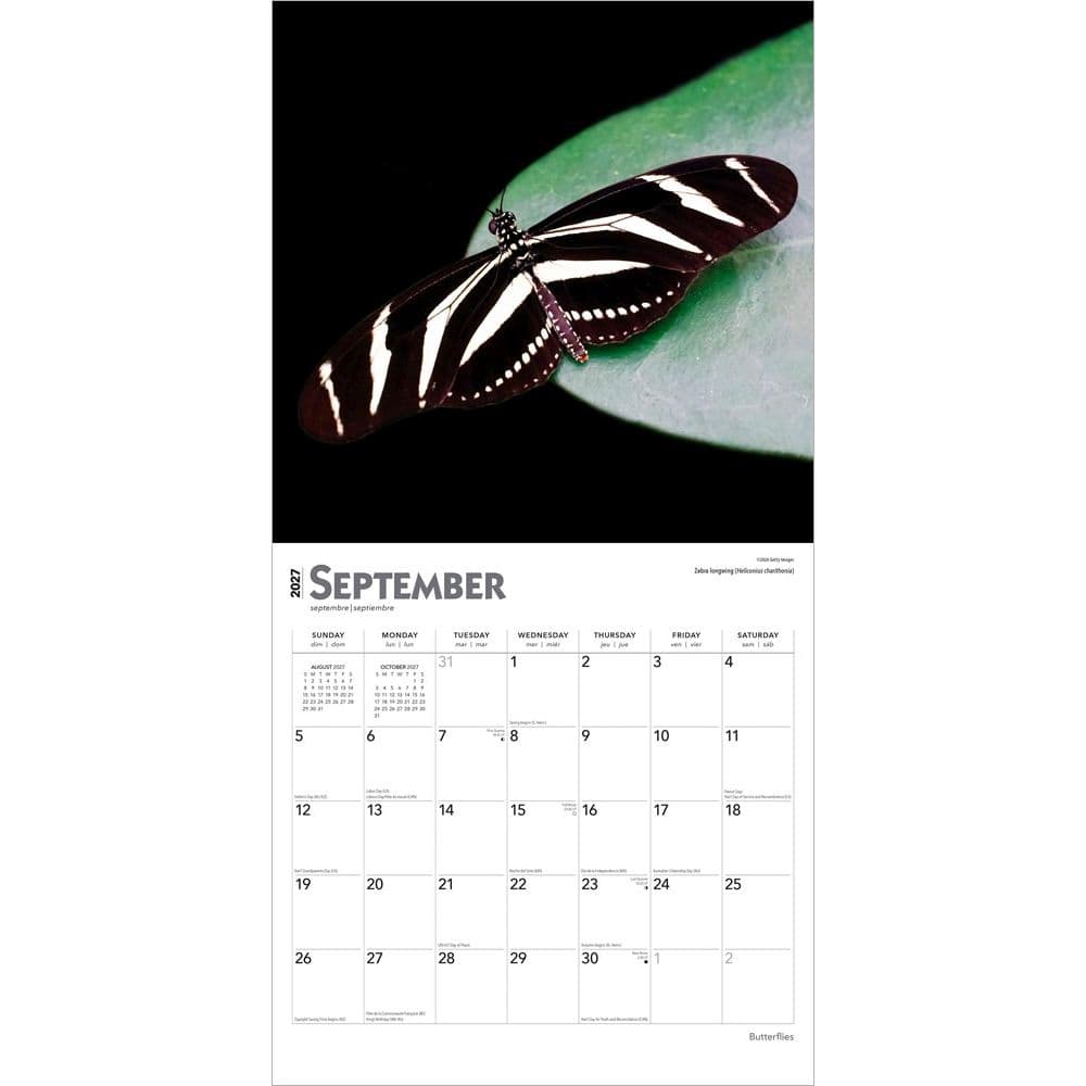 Butterflies 2027 Wall Calendar Third Alternate Image