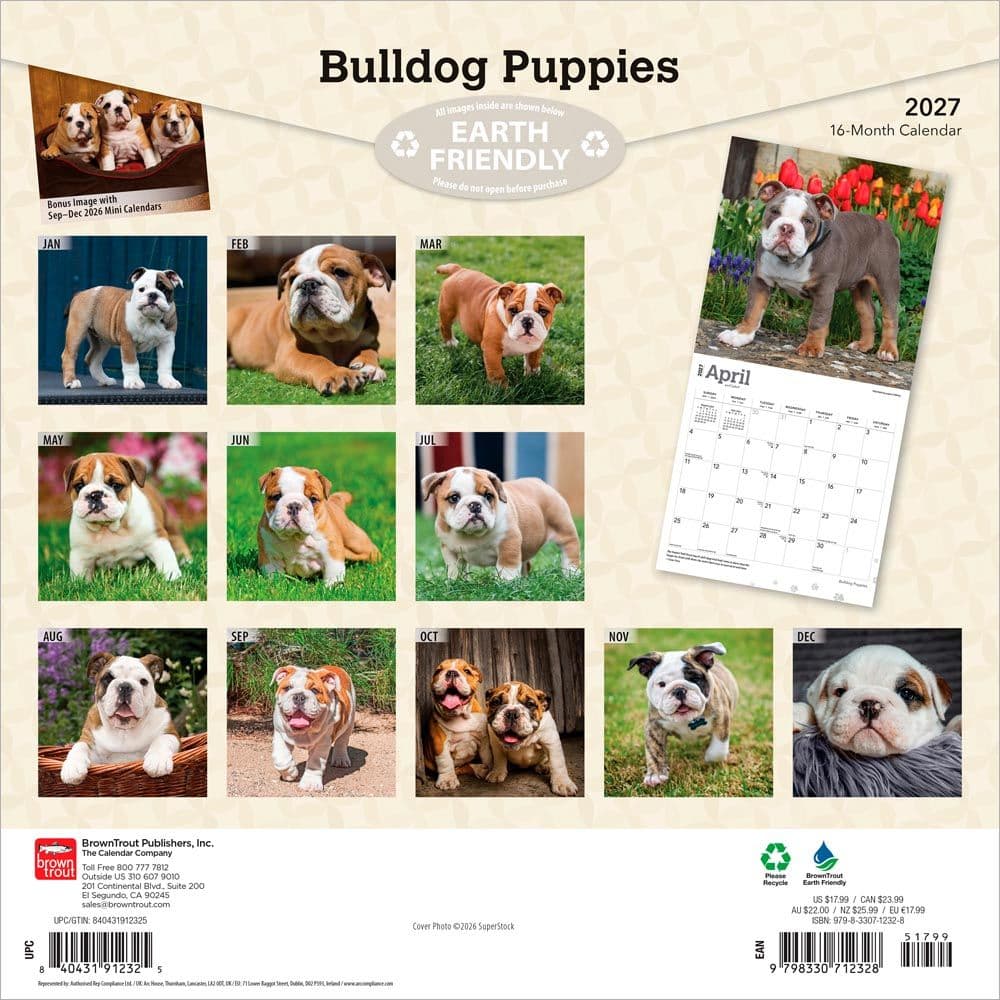 Bulldog Puppies 2027 Wall Calendar First Alternate Image