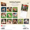 image Bulldog Puppies 2027 Wall Calendar First Alternate Image