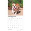 image Bulldog Puppies 2027 Wall Calendar Third Alternate Image