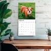 image Bulldog Puppies 2027 Wall Calendar Fourth Alternate Image