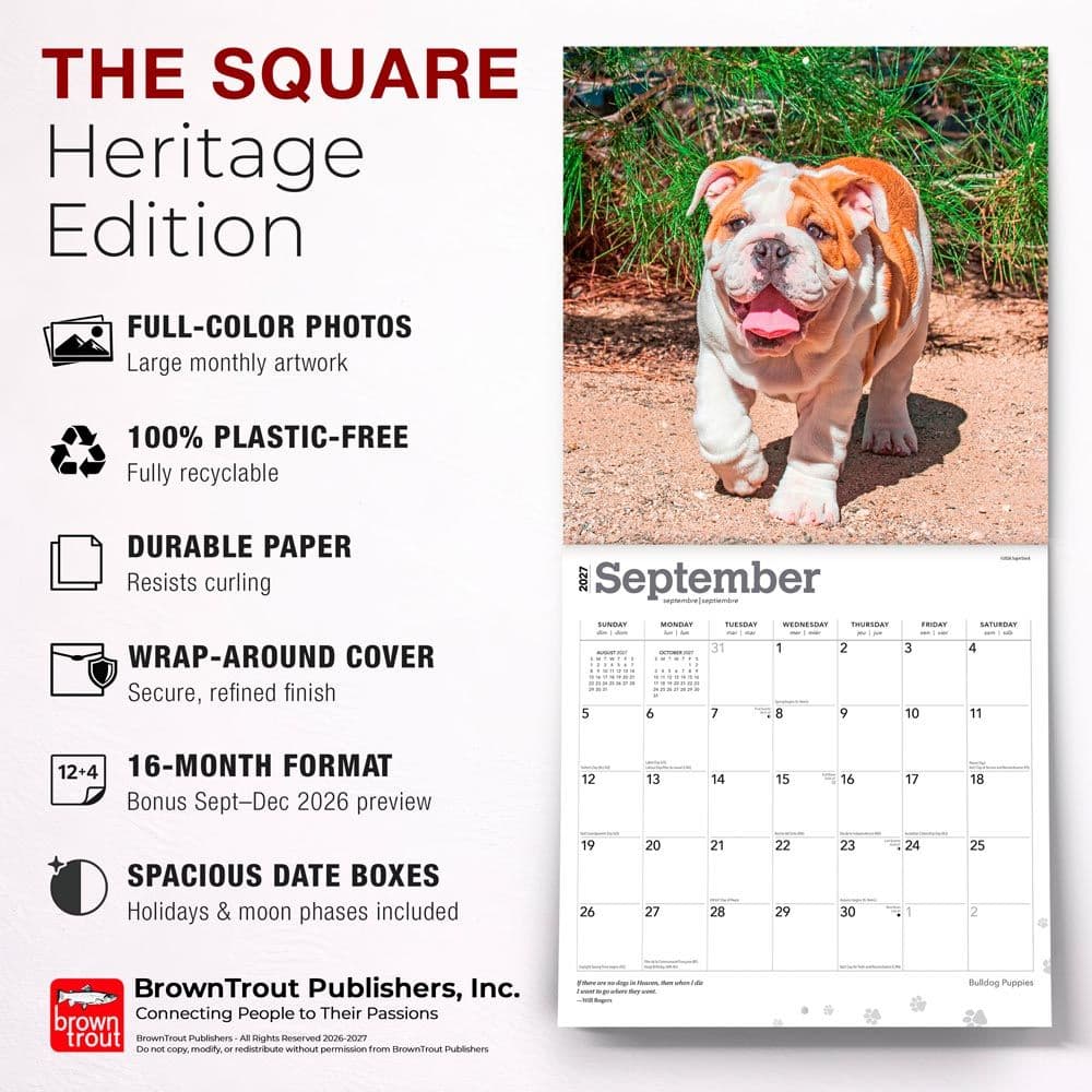 Bulldog Puppies 2027 Wall Calendar Fifth Alternate Image