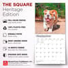 image Bulldog Puppies 2027 Wall Calendar Fifth Alternate Image