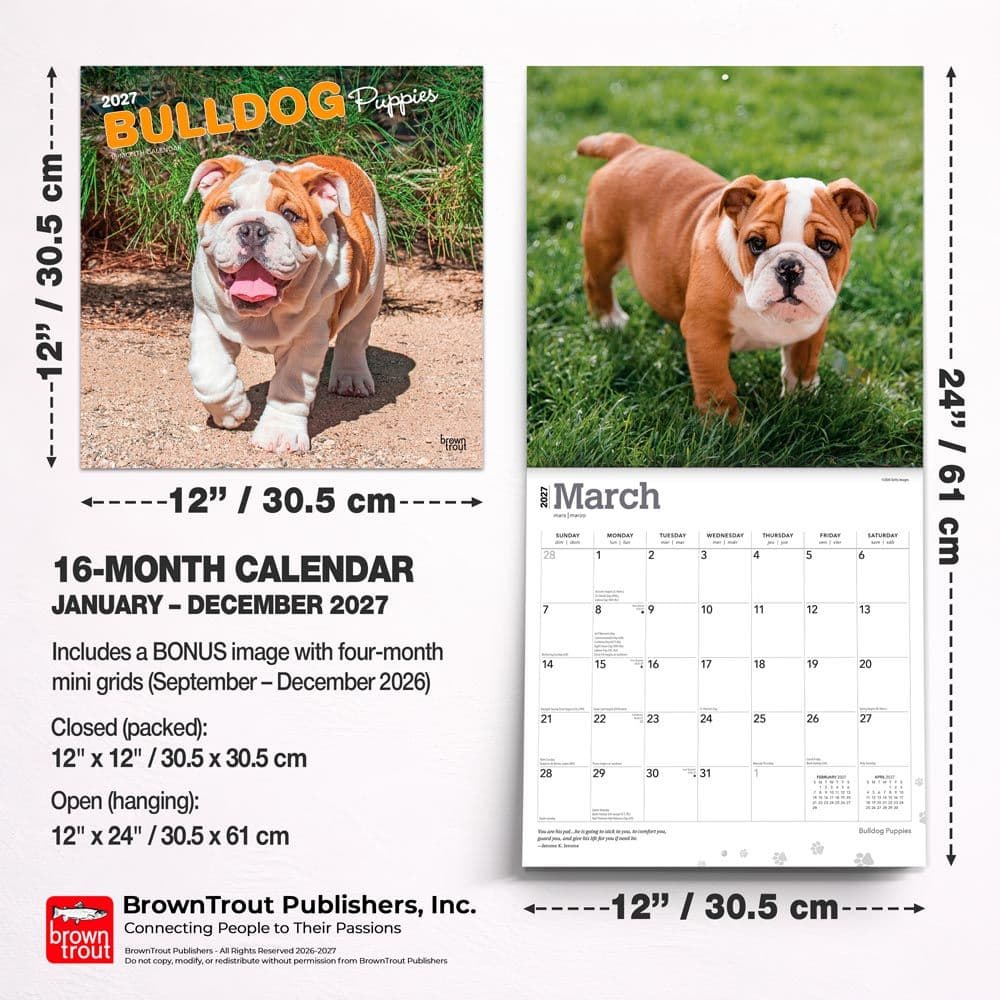 Bulldog Puppies 2027 Wall Calendar Sixth Alternate Image