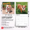 image Bulldog Puppies 2027 Wall Calendar Sixth Alternate Image
