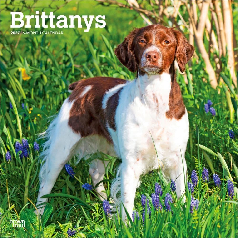 Brittanys 2027 Wall Calendar Main Product Image