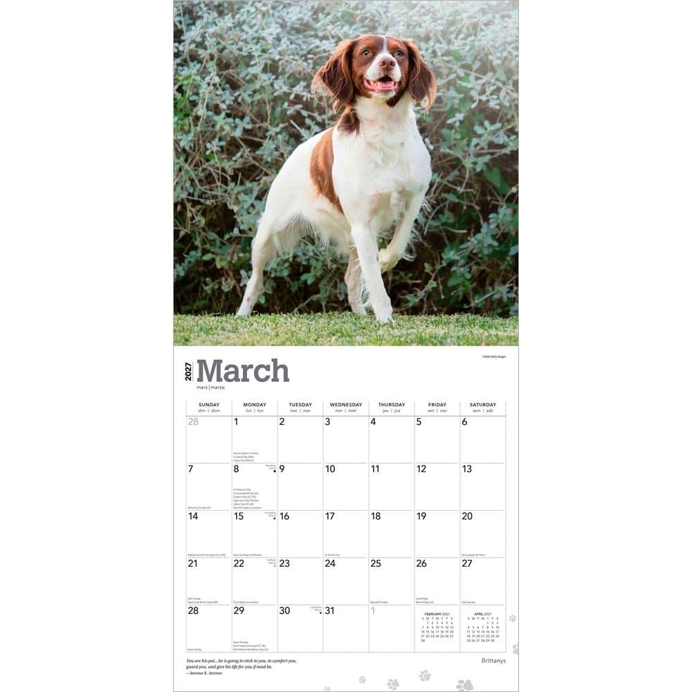 Brittanys 2027 Wall Calendar Second Alternate Image