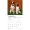 image Brittanys 2027 Wall Calendar Third Alternate Image