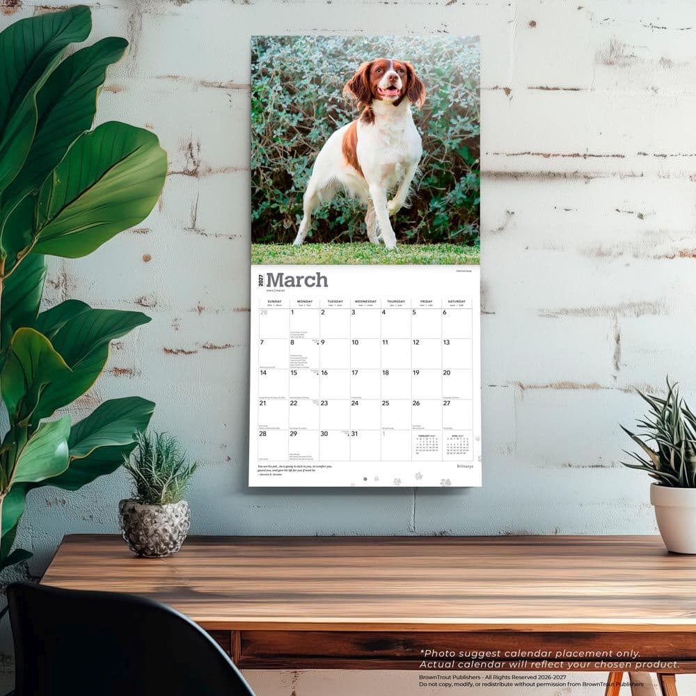 Brittanys 2027 Wall Calendar Fourth Alternate Image