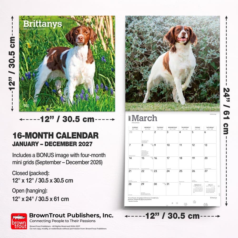 Brittanys 2027 Wall Calendar Sixth Alternate Image