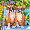 image Boxer Puppies 2027 Wall Calendar Main Product Image