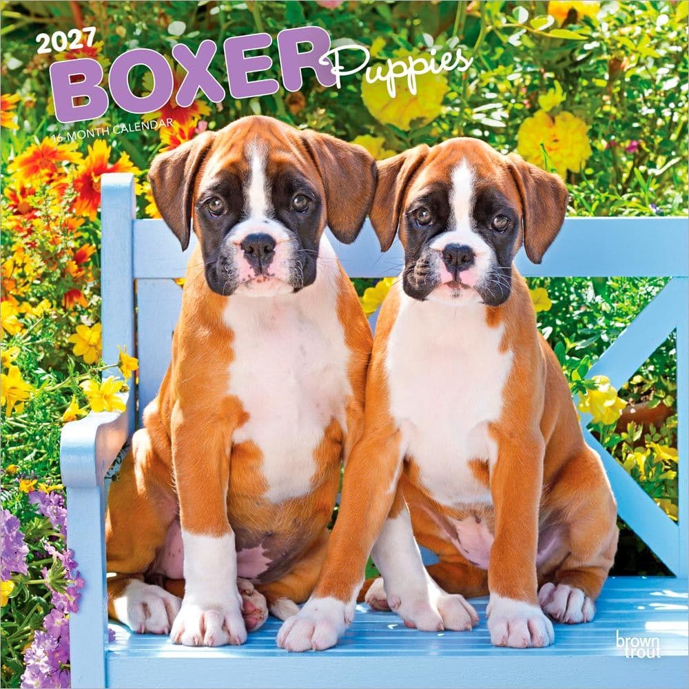 image Boxer Puppies 2027 Wall Calendar Main Product Image