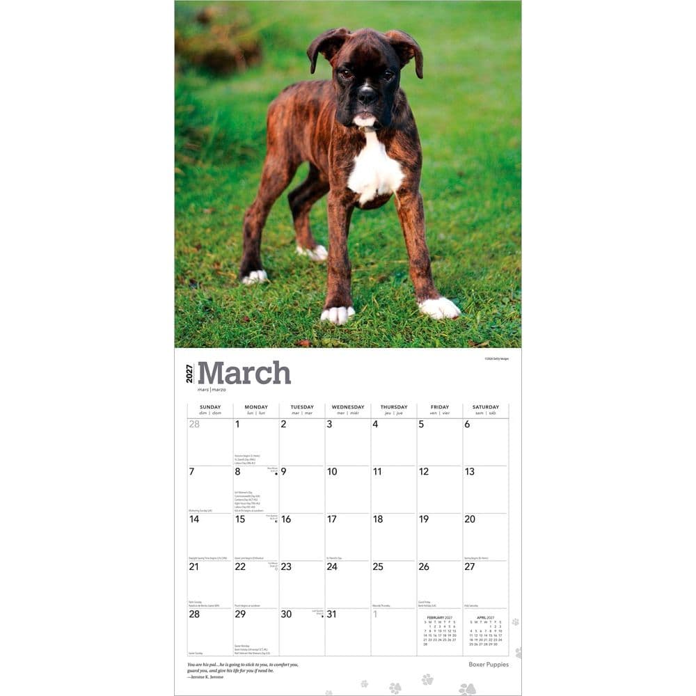 Boxer Puppies 2027 Wall Calendar Second Alternate Image