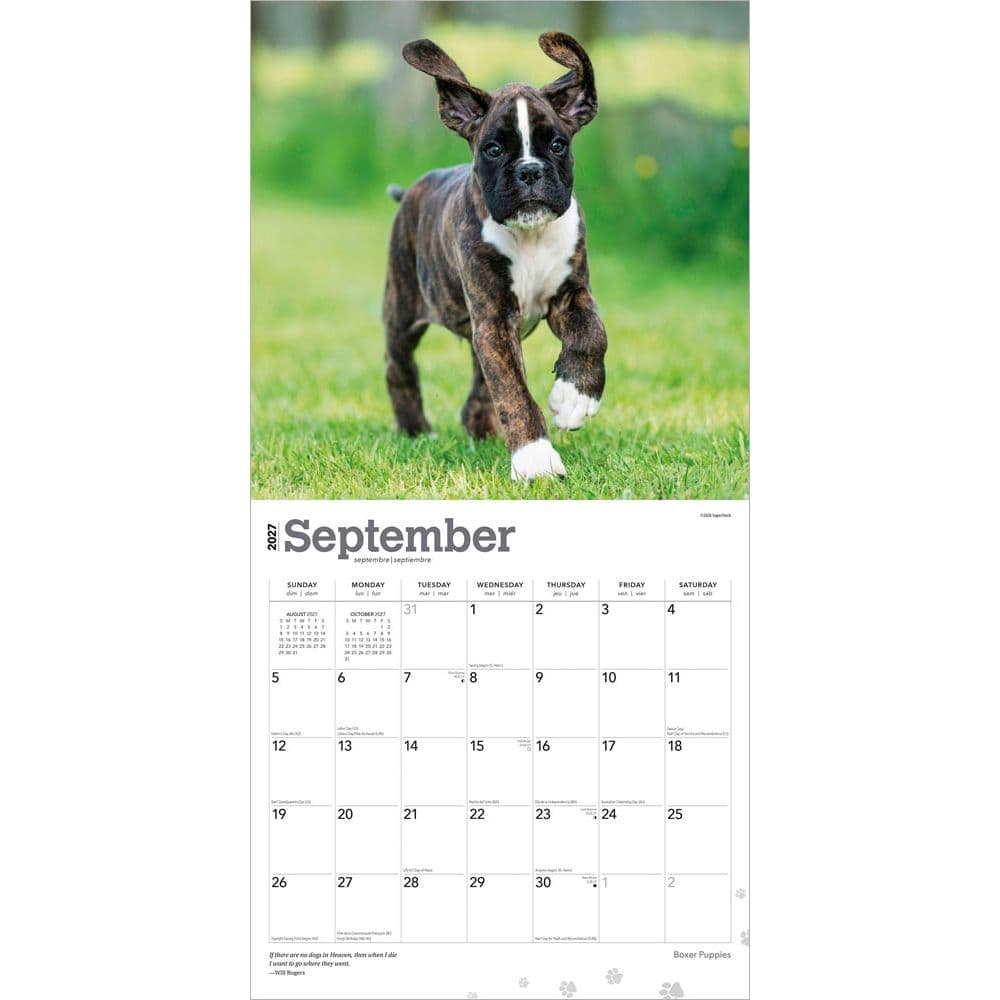 Boxer Puppies 2027 Wall Calendar Third Alternate Image