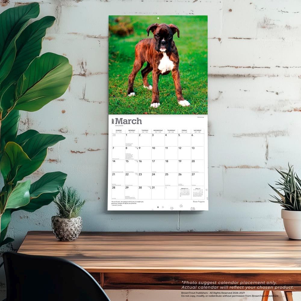 Boxer Puppies 2027 Wall Calendar Fourth Alternate Image