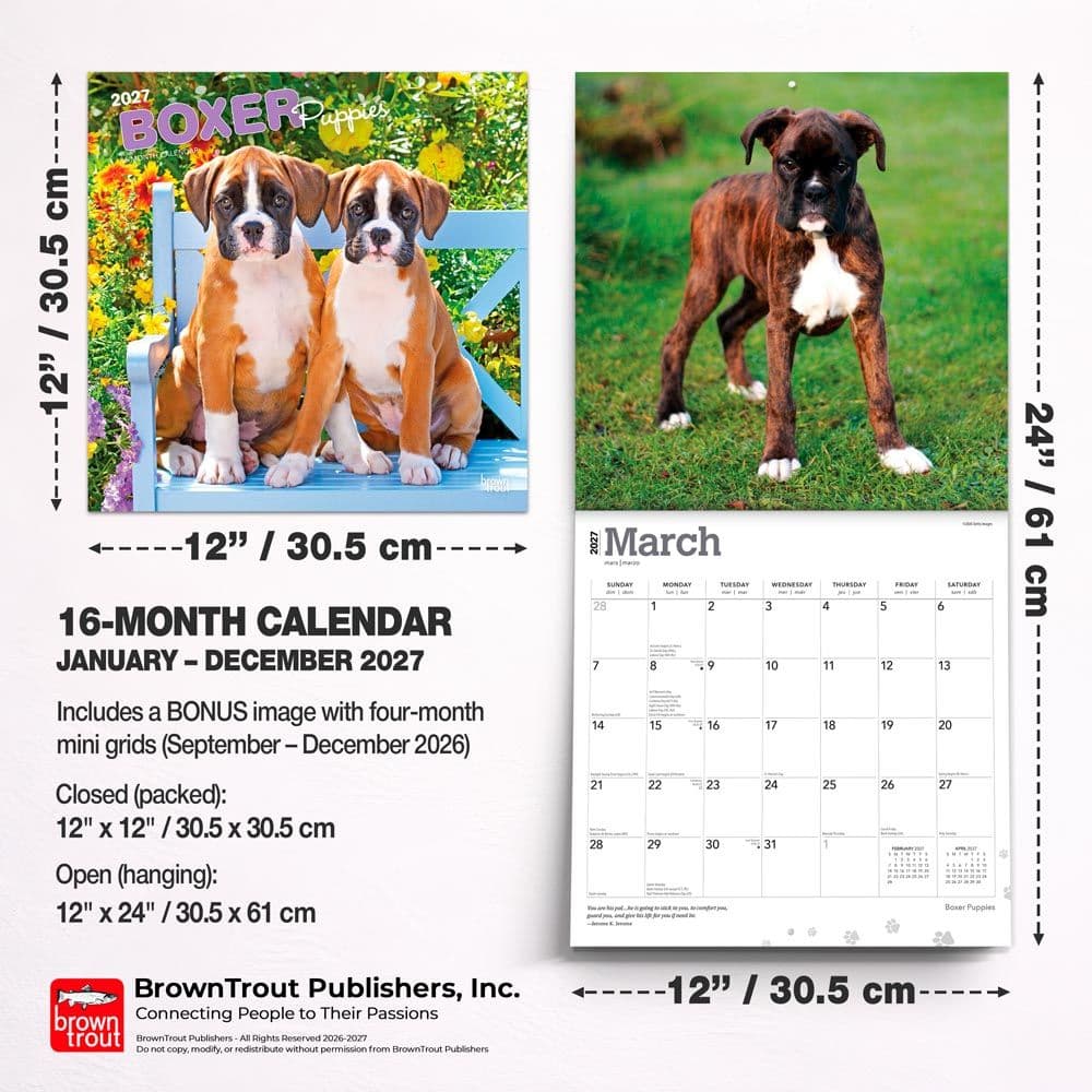 Boxer Puppies 2027 Wall Calendar Sixth Alternate Image