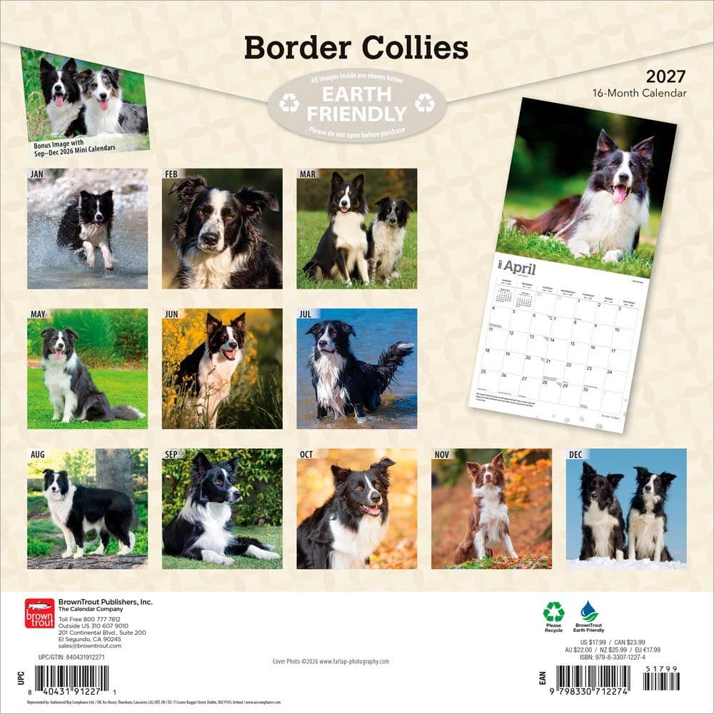 Border Collies 2027 Wall Calendar First Alternate Image
