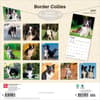 image Border Collies 2027 Wall Calendar First Alternate Image