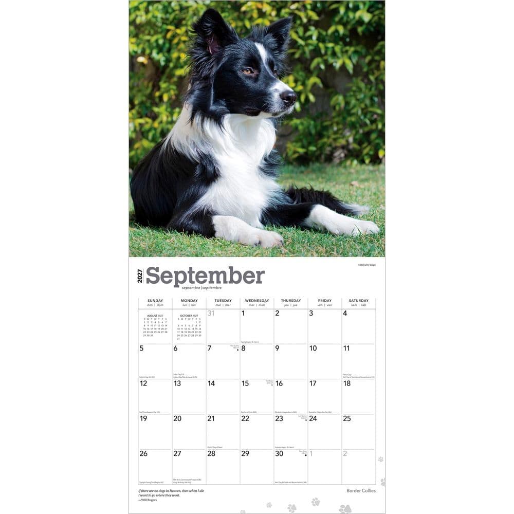 Border Collies 2027 Wall Calendar Third Alternate Image