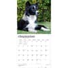 image Border Collies 2027 Wall Calendar Third Alternate Image
