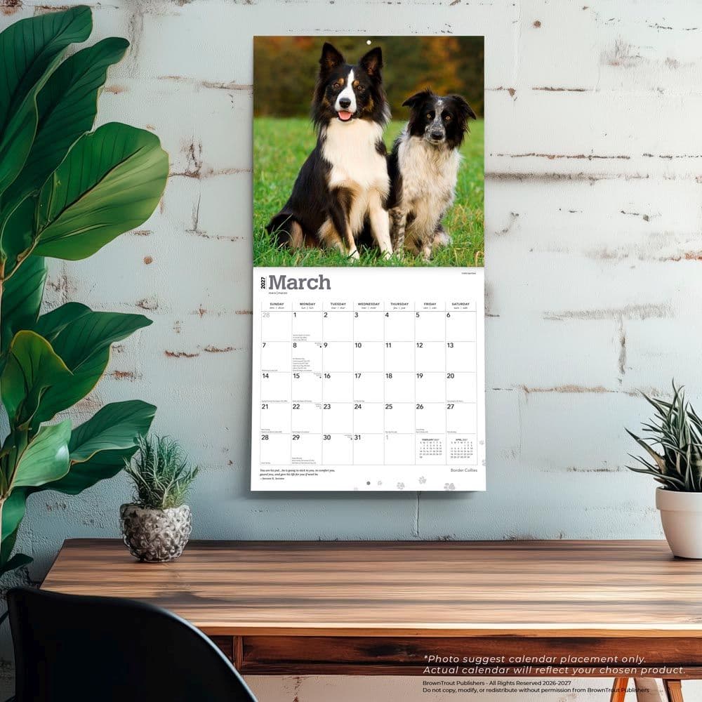 Border Collies 2027 Wall Calendar Fourth Alternate Image
