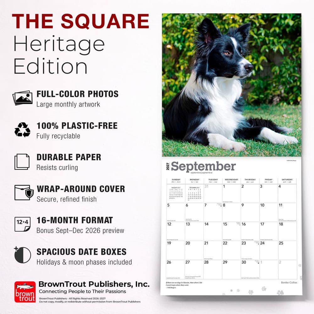 Border Collies 2027 Wall Calendar Fifth Alternate Image