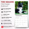 image Border Collies 2027 Wall Calendar Fifth Alternate Image