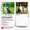 image Border Collies 2027 Wall Calendar Sixth Alternate Image