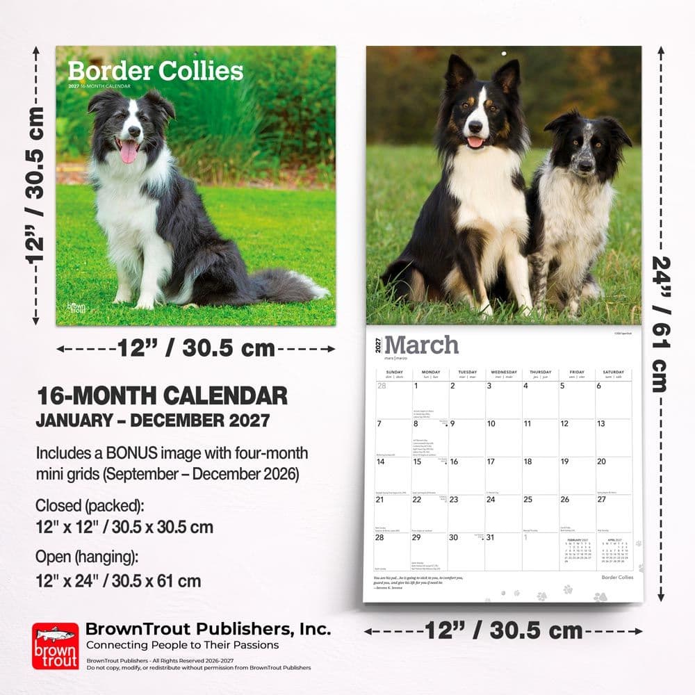 Border Collies 2027 Wall Calendar Sixth Alternate Image