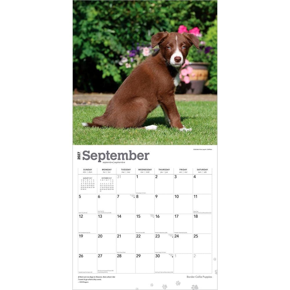 Border Collie Puppies 2027 Wall Calendar Third Alternate Image
