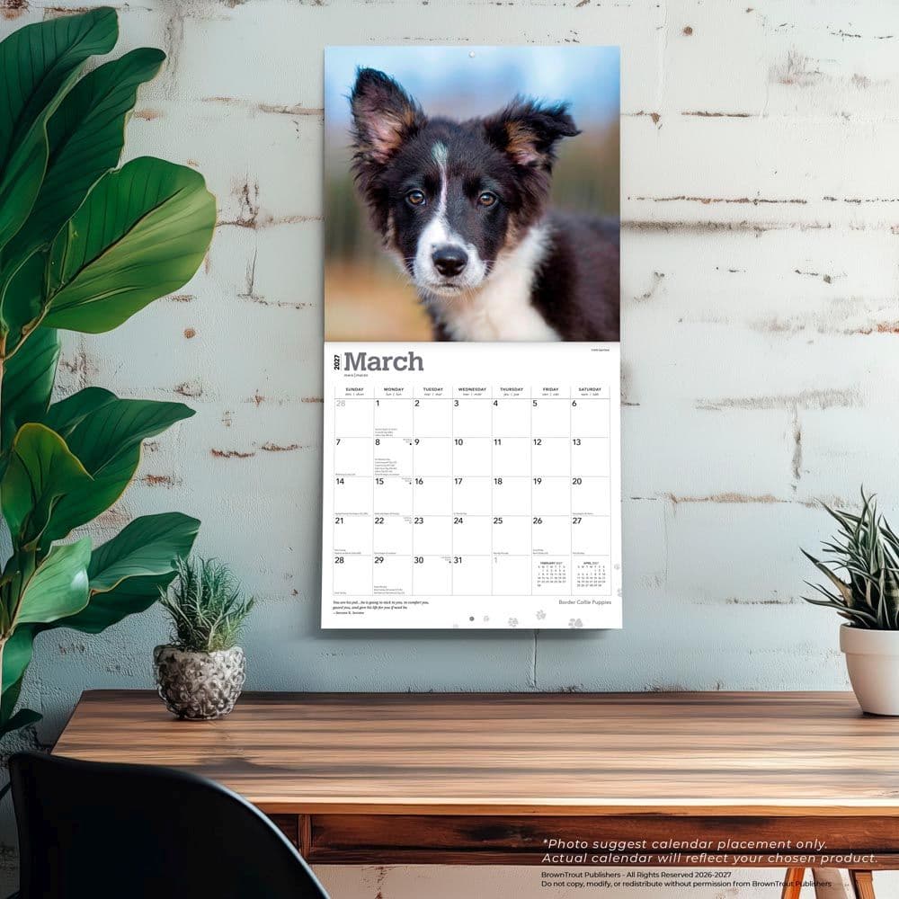 Border Collie Puppies 2027 Wall Calendar Fourth Alternate Image