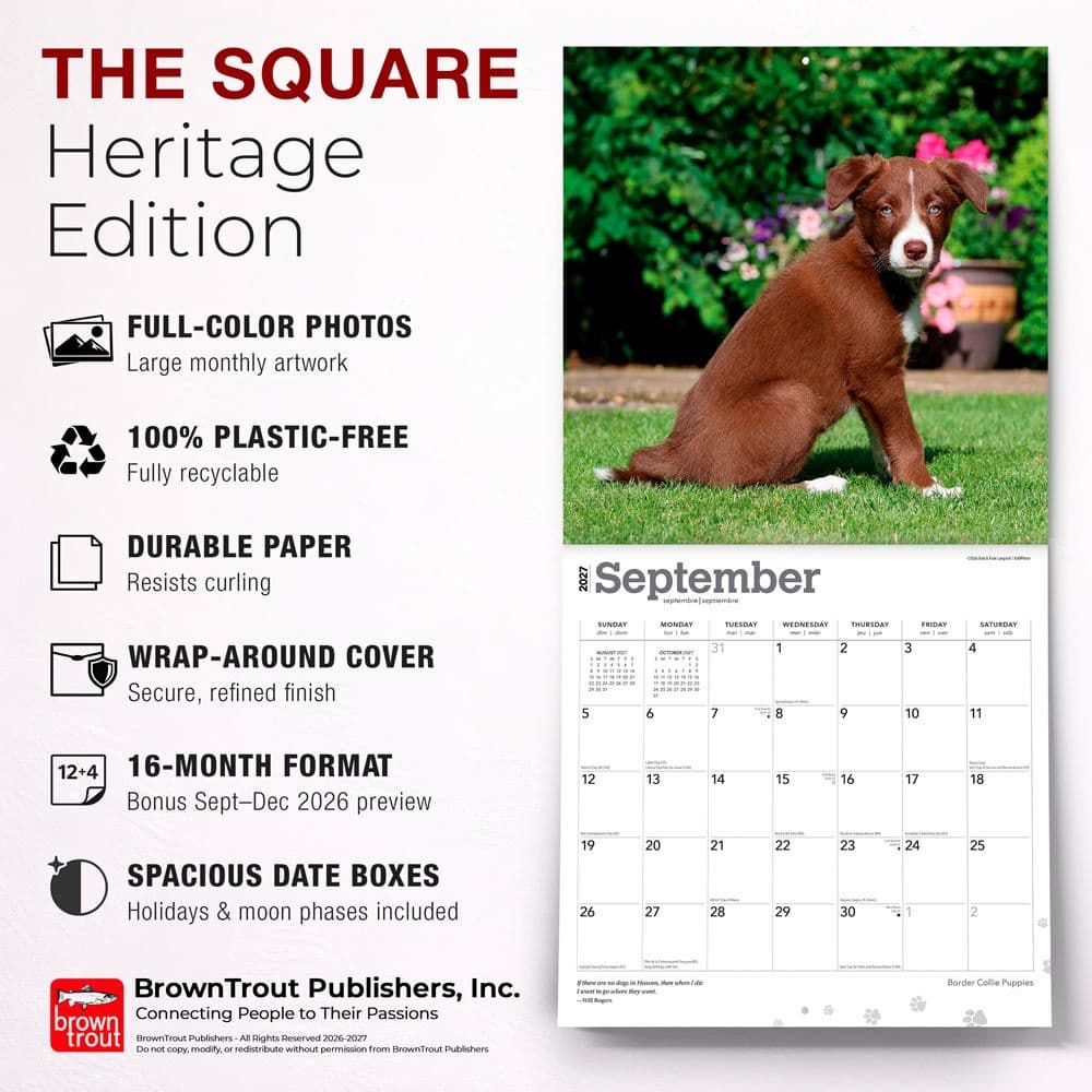 Border Collie Puppies 2027 Wall Calendar Fifth Alternate Image