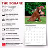 image Border Collie Puppies 2027 Wall Calendar Fifth Alternate Image