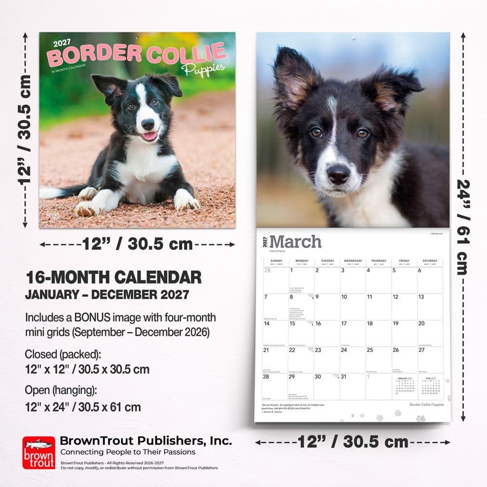 Border Collie Puppies 2027 Wall Calendar Sixth Alternate Image