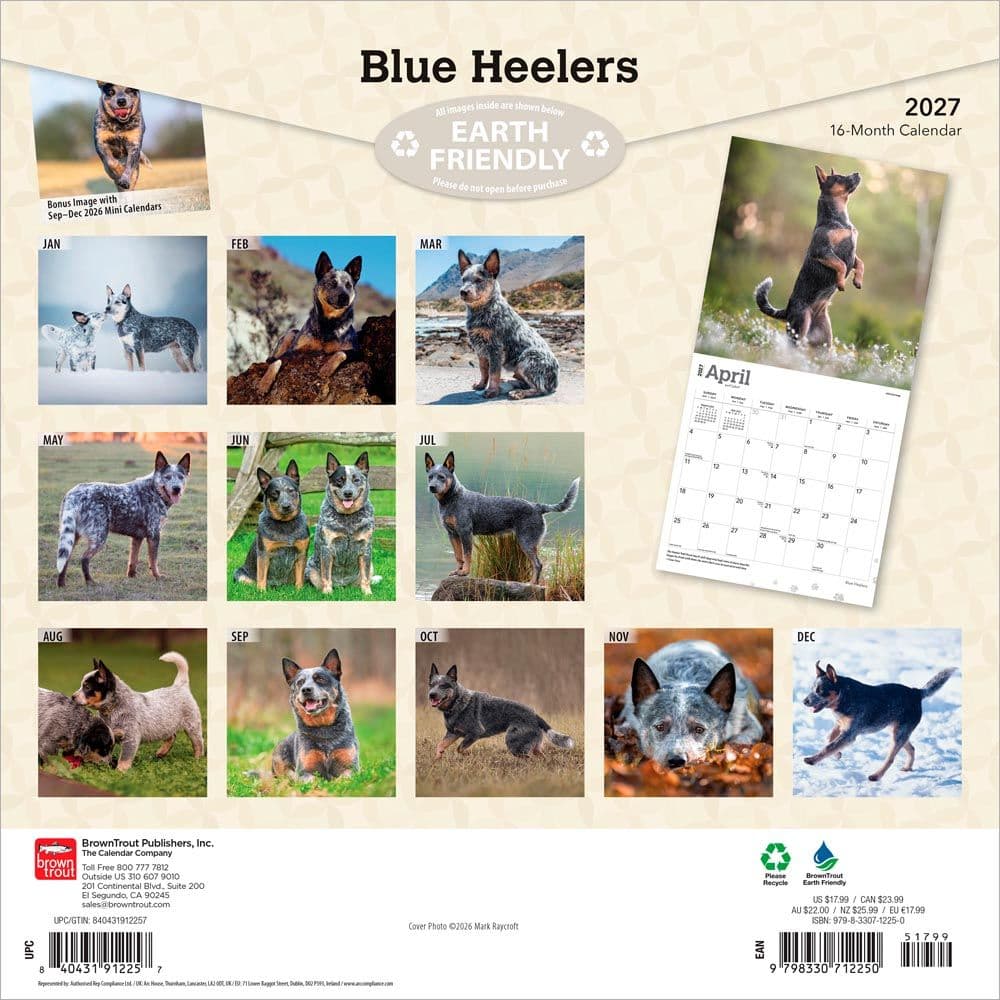 Blue Heelers 2027 Wall Calendar First Alternate Image
