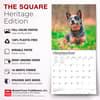 image Blue Heelers 2027 Wall Calendar Fifth Alternate Image