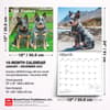 image Blue Heelers 2027 Wall Calendar Sixth Alternate Image