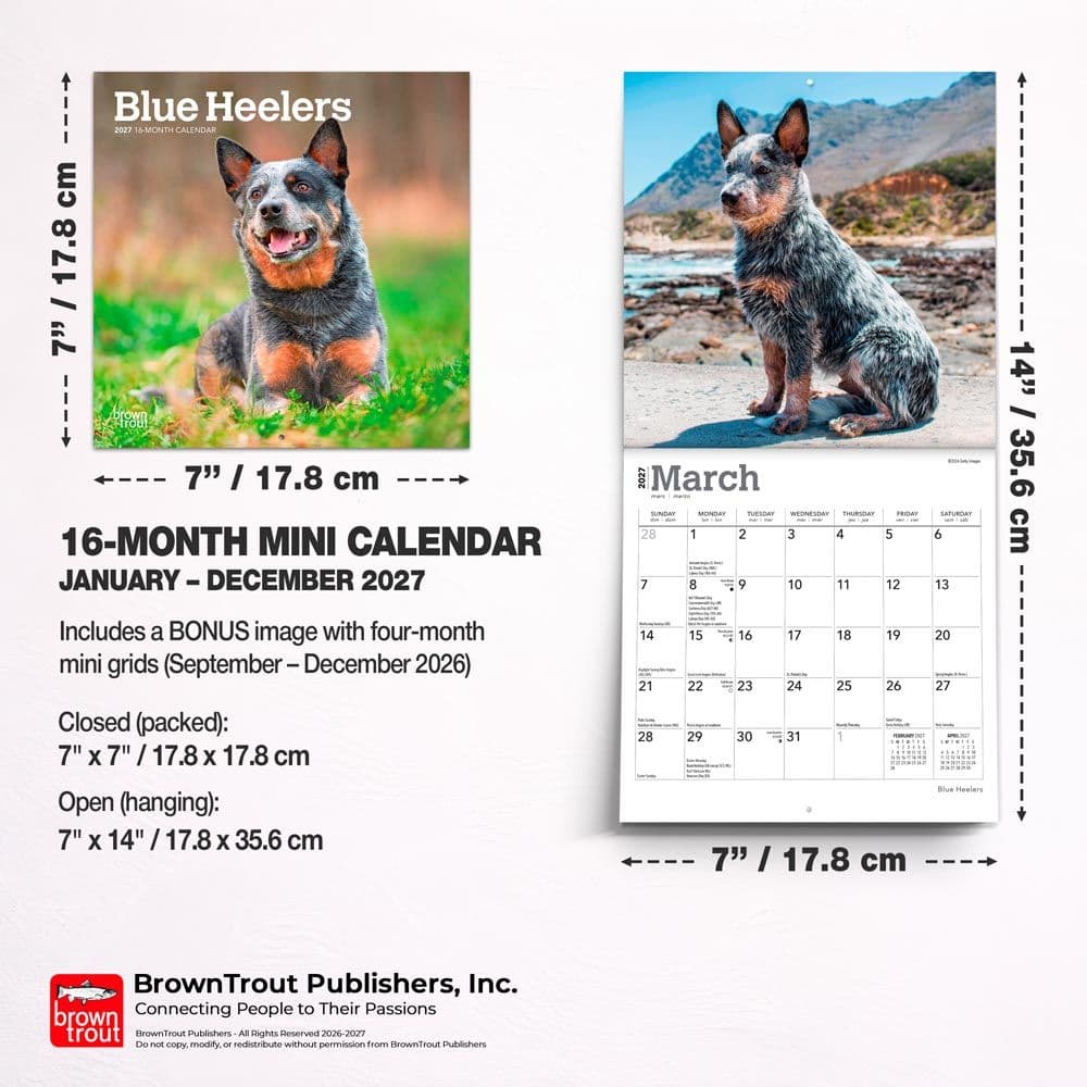 Blue Heelers 2027 Mini Wall Calendar Sixth Alternate Image